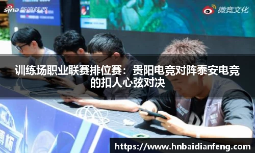 训练场职业联赛排位赛：贵阳电竞对阵泰安电竞的扣人心弦对决